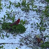 Review photo of Topsail Hill Preserve State Park Campground by Christie N., June 2, 2022