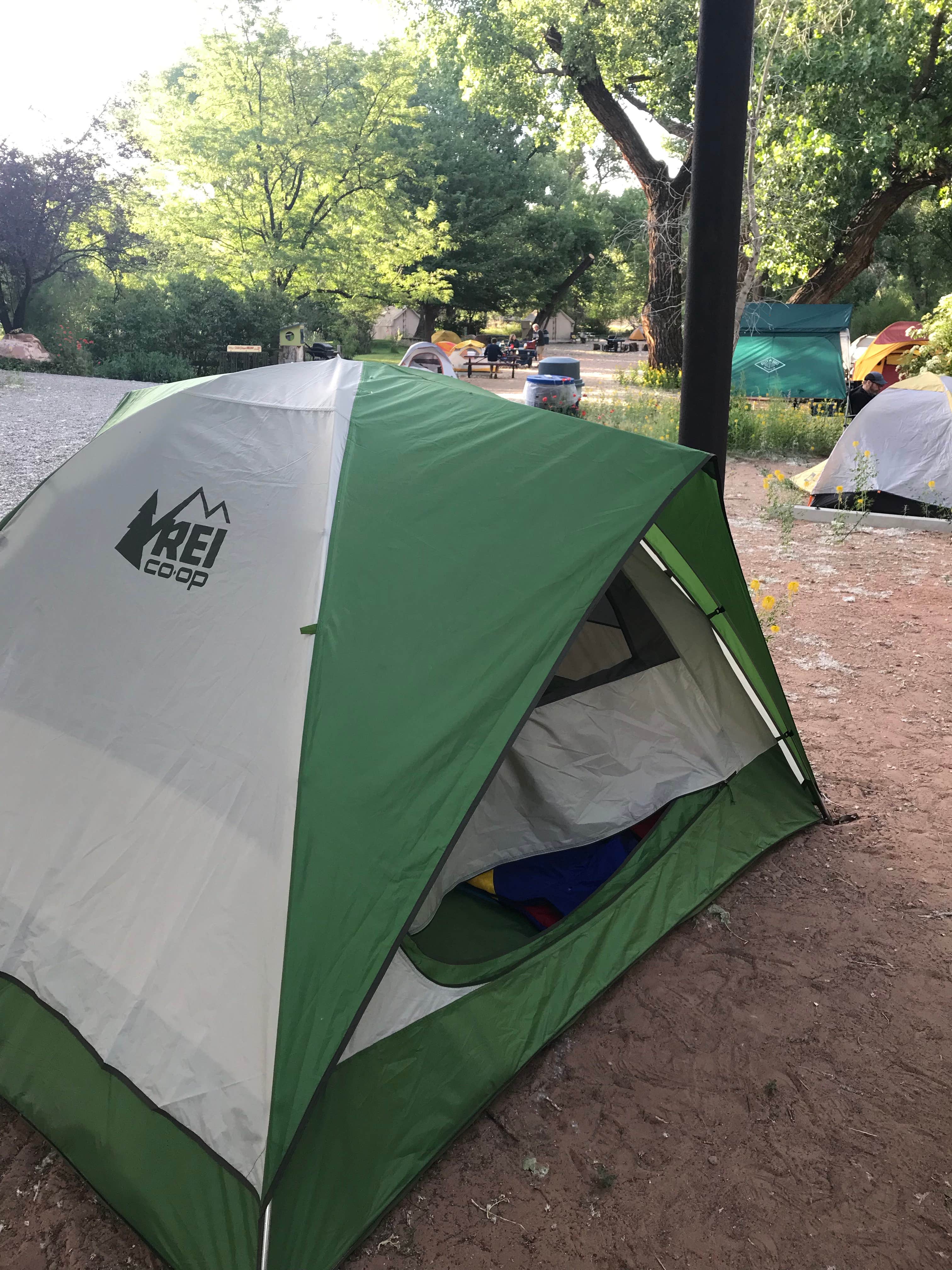 Jessie P.'s photo of tent camping at Up the Creek Campground near Castle Valley, UT