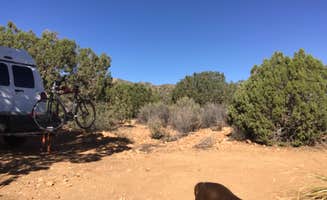 Cameron M.'s photo of camping with pets at Hwy 193 BLM Dispersed near Golden Valley, AZ