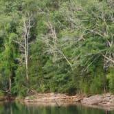 Review photo of Douglas Dam Headwater Campground — Tennessee Valley Authority (TVA) by Teresa P., July 15, 2018