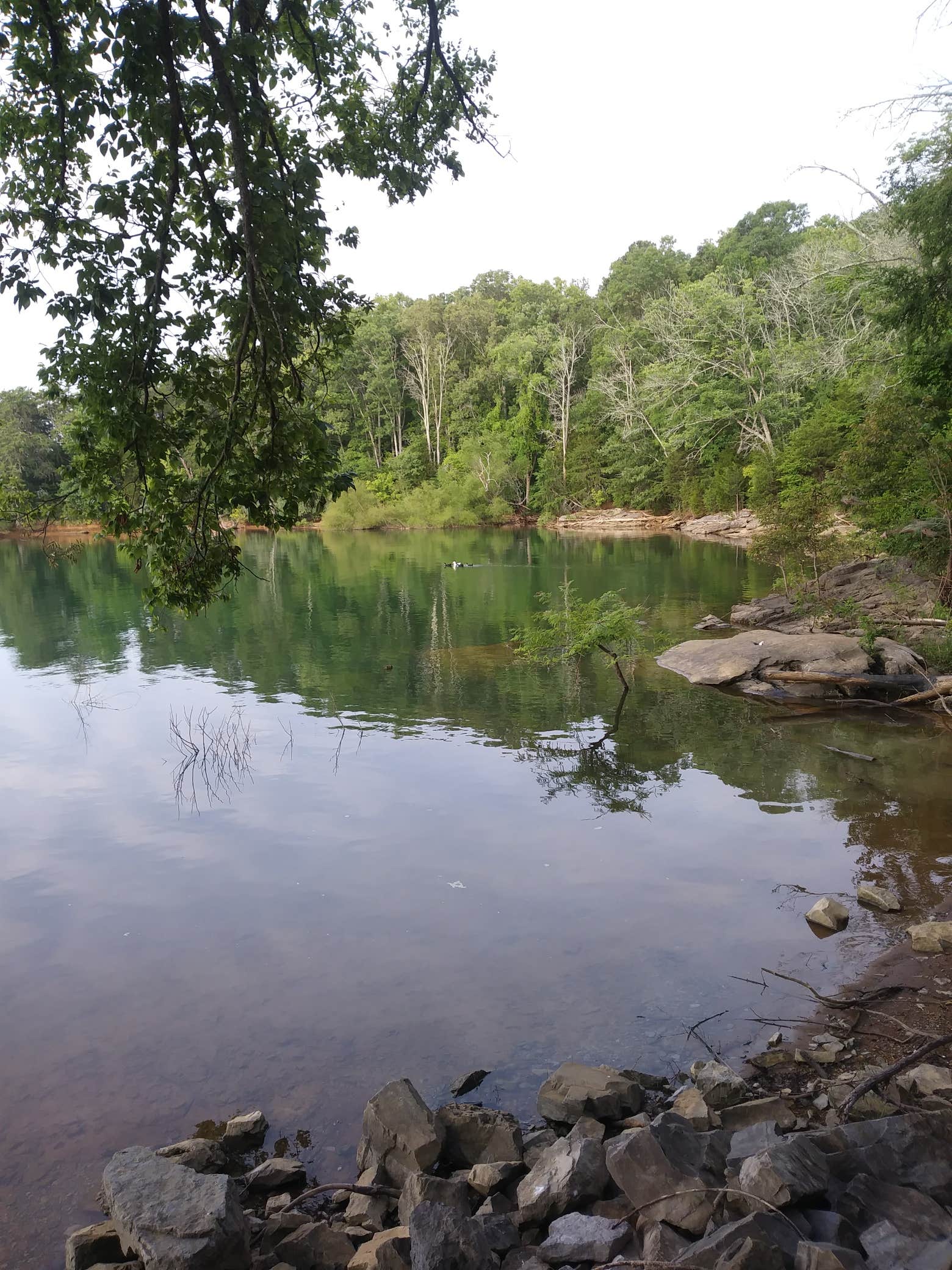 Camper-submitted photo at Douglas Dam Headwater Campground — Tennessee Valley Authority (TVA) near Kodak, TN