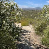 Review photo of Potrero County Park by Roni G., June 2, 2022