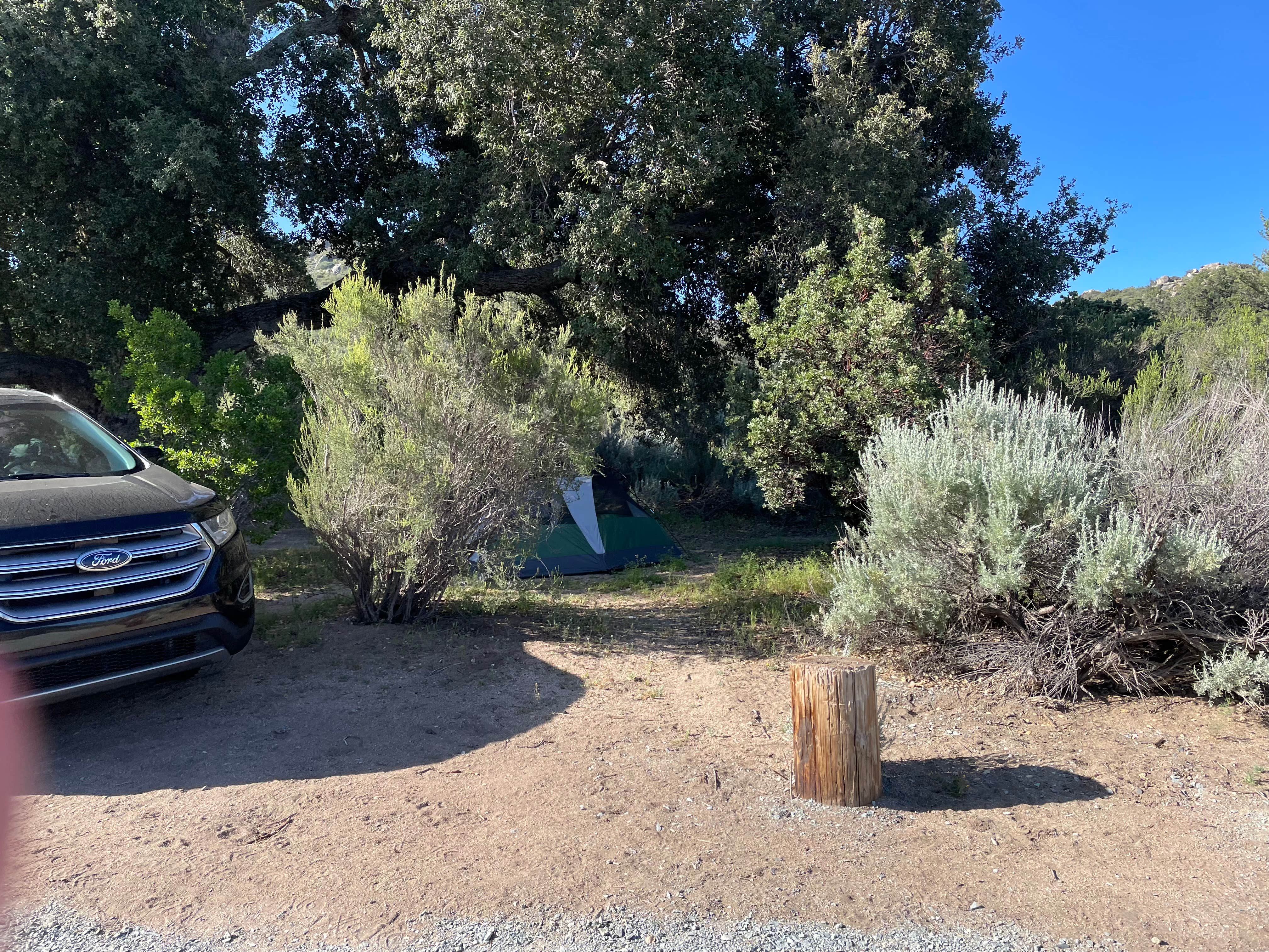 Roni G.'s photo at Boulder Oaks Eqst near Guatay, CA