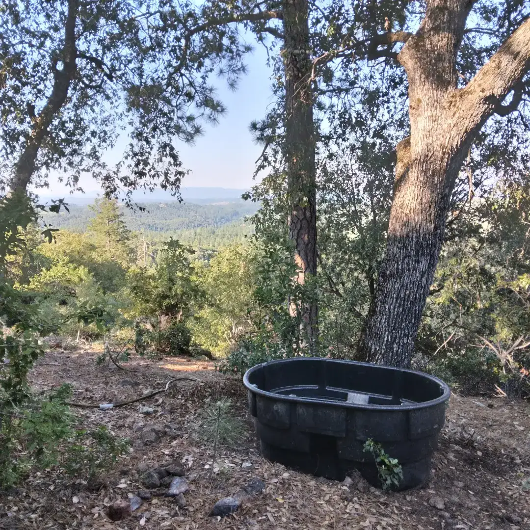 Camper-submitted photo at Buffalo Hill near West Point, CA