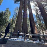 Review photo of Azalea Campground — Kings Canyon National Park by Swan R., June 2, 2022