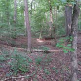 Review photo of Douglas Dam Headwater Campground — Tennessee Valley Authority (TVA) by Teresa P., July 15, 2018