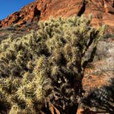 Review photo of Quail Creek State Park Campground by Tom S., June 2, 2022