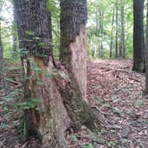 Review photo of Douglas Dam Headwater Campground — Tennessee Valley Authority (TVA) by Teresa P., July 15, 2018