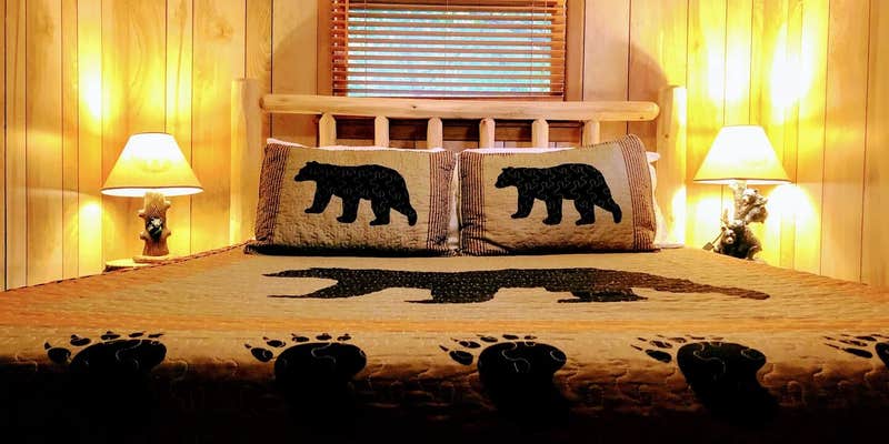 Camper submitted image from MNM Mountain Views #578