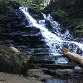 Review photo of Ricketts Glen State Park Campground by Tina T., July 15, 2018