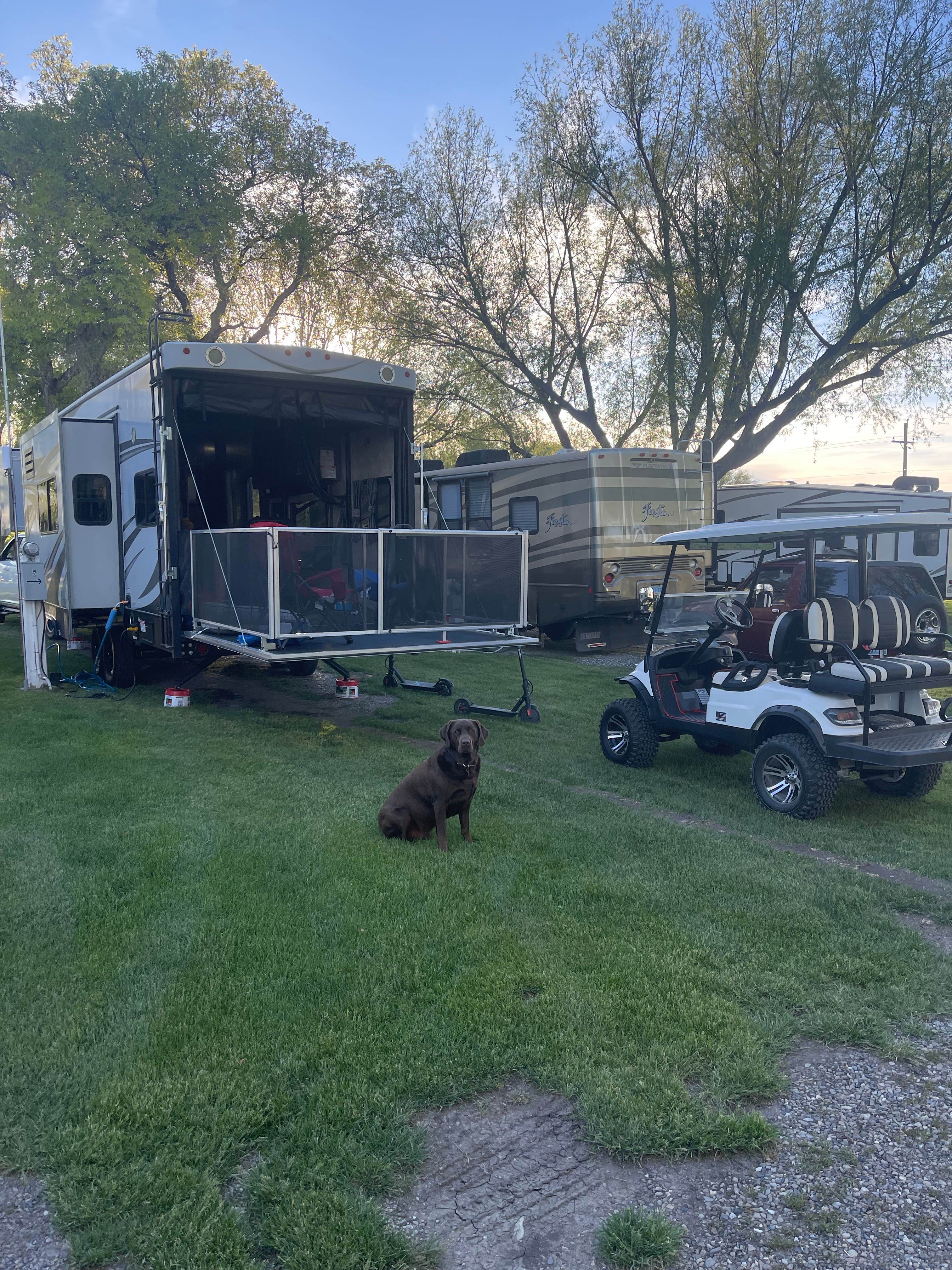 Daniel C.'s photo of camping with pets at Welcome Station RV Park in Nevada