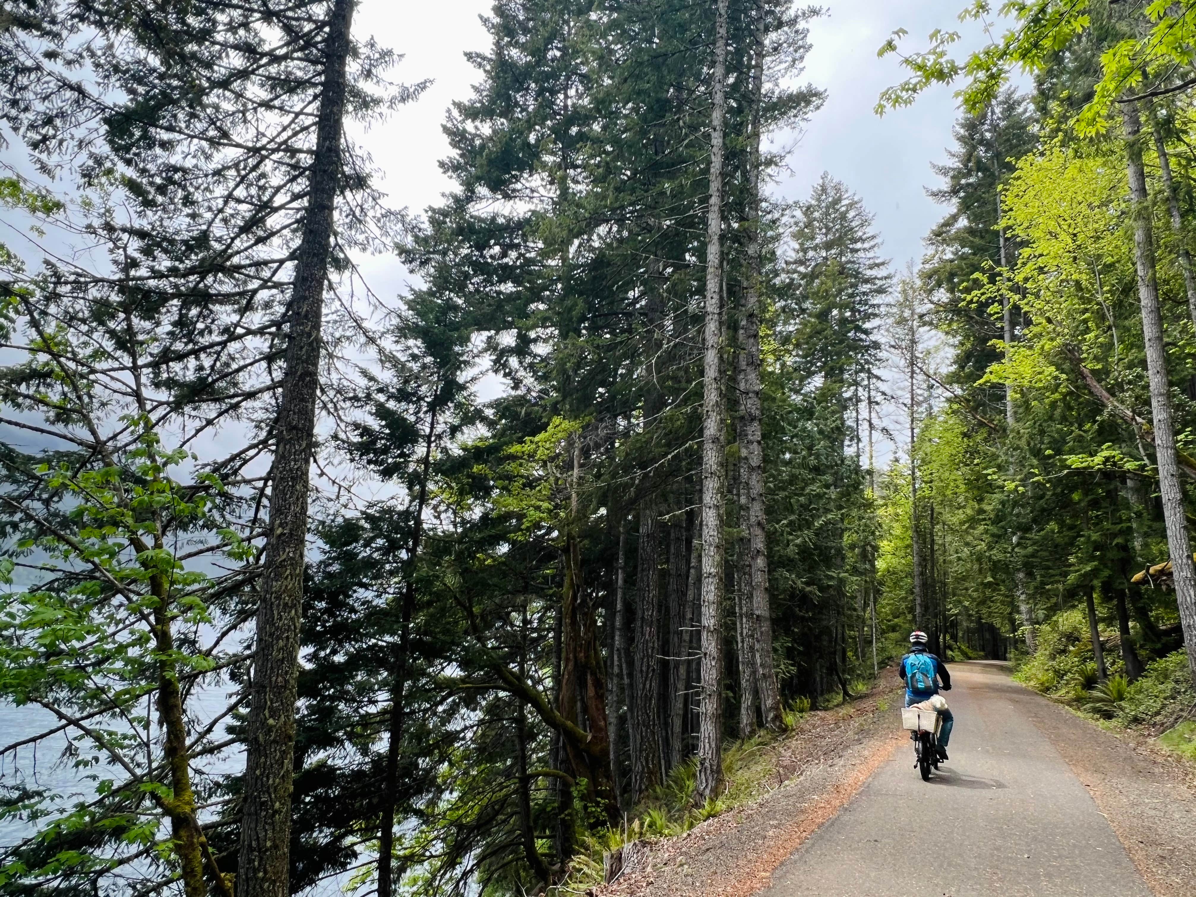 Camper submitted image from Elwha Dam RV Park - 4