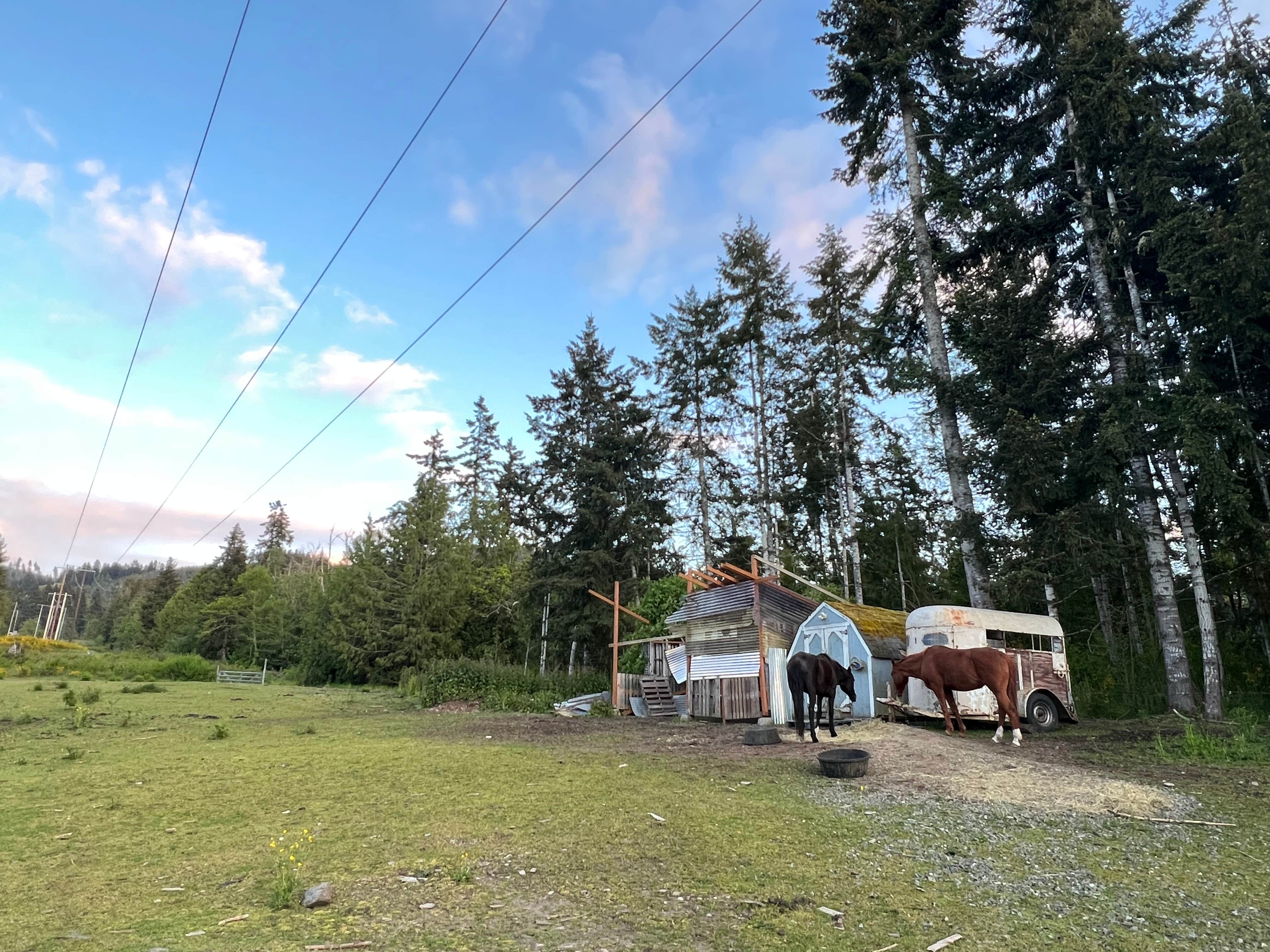 Bhakta R.'s photo at Elwha Dam RV Park near Port Angeles, WA