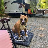 Review photo of Moose Hillock Camping Resorts by Brandilyn W., June 3, 2022