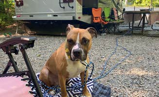 Brandilyn W.'s photo of camping with pets at Moose Hillock Camping Resorts near Lake Luzerne, NY