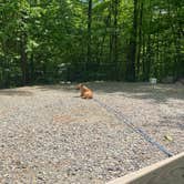 Review photo of Moose Hillock Camping Resorts by Brandilyn W., June 3, 2022