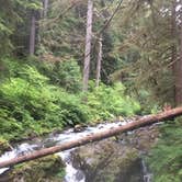 Review photo of Sol Duc Hot Springs Resort Campground — Olympic National Park by Deacon J., July 15, 2018