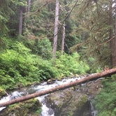 Review photo of Sol Duc Campground - Group — Olympic National Park by Deacon J., July 15, 2018