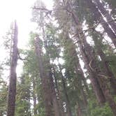 Review photo of Sol Duc Hot Springs Resort Campground — Olympic National Park by Deacon J., July 15, 2018