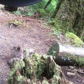 Review photo of Sol Duc Hot Springs Resort Campground — Olympic National Park by Deacon J., July 15, 2018