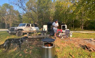 Whitney L.'s photo of camping with pets at Fiery Fork Conservation Area in Missouri