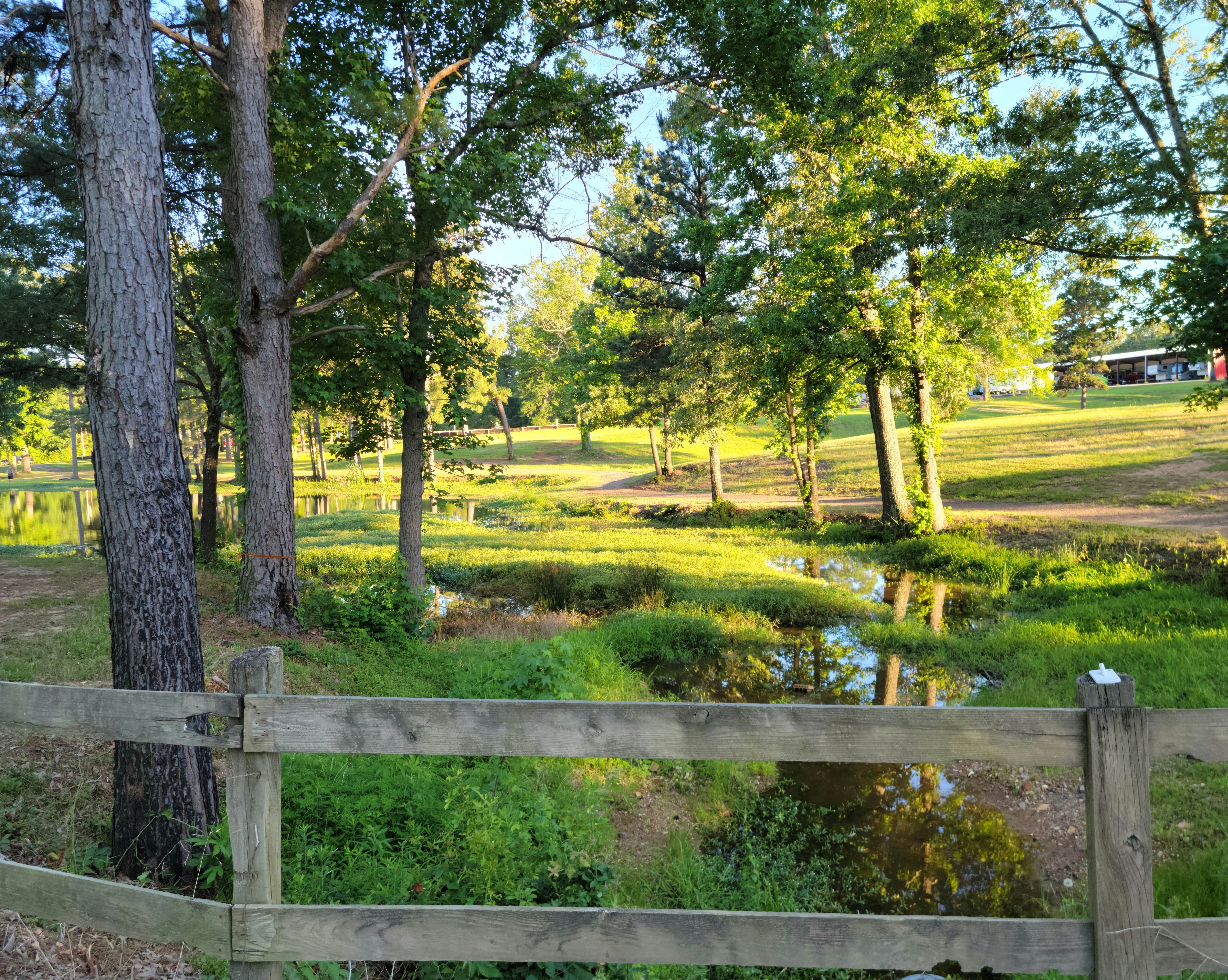 Camping near Texarkana KOA: Forest Lake RV Park, Wright Patman Lake, Texas