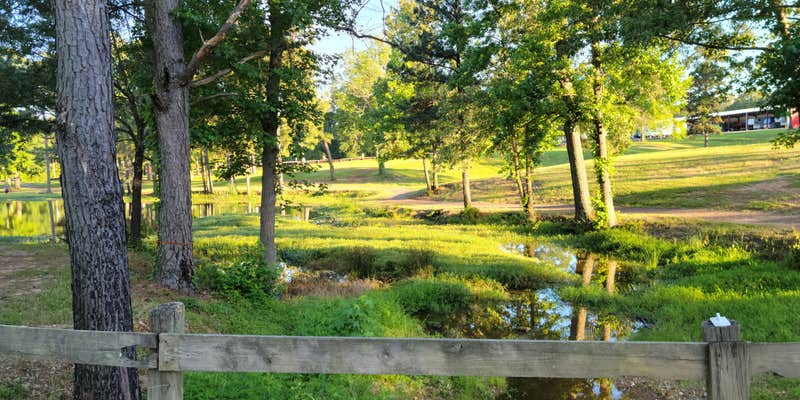 Camper submitted image from Forest Lake RV Park