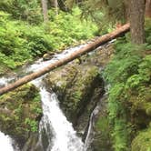 Review photo of Sol Duc Hot Springs Resort Campground — Olympic National Park by Deacon J., July 15, 2018