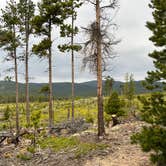 Review photo of West Magnolia Campground by Aneece D., June 3, 2022