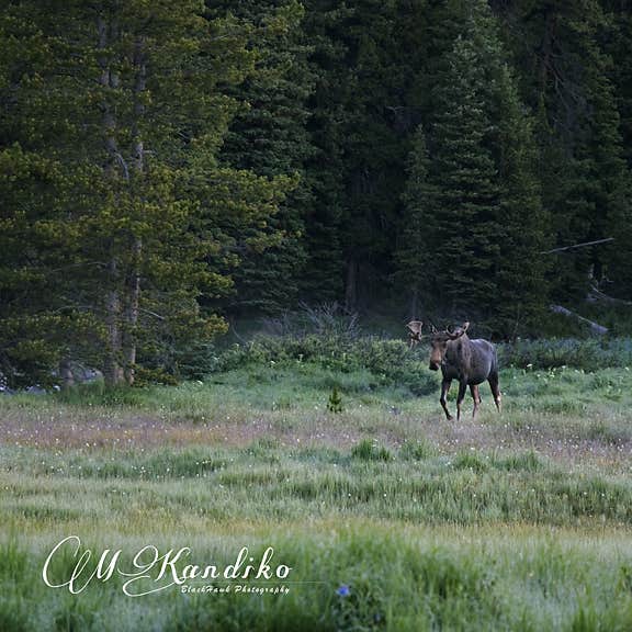 Deer Park Camping Ten Sleep, WY