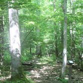 Review photo of Locust Lake State Park Campground by Michael , June 3, 2022