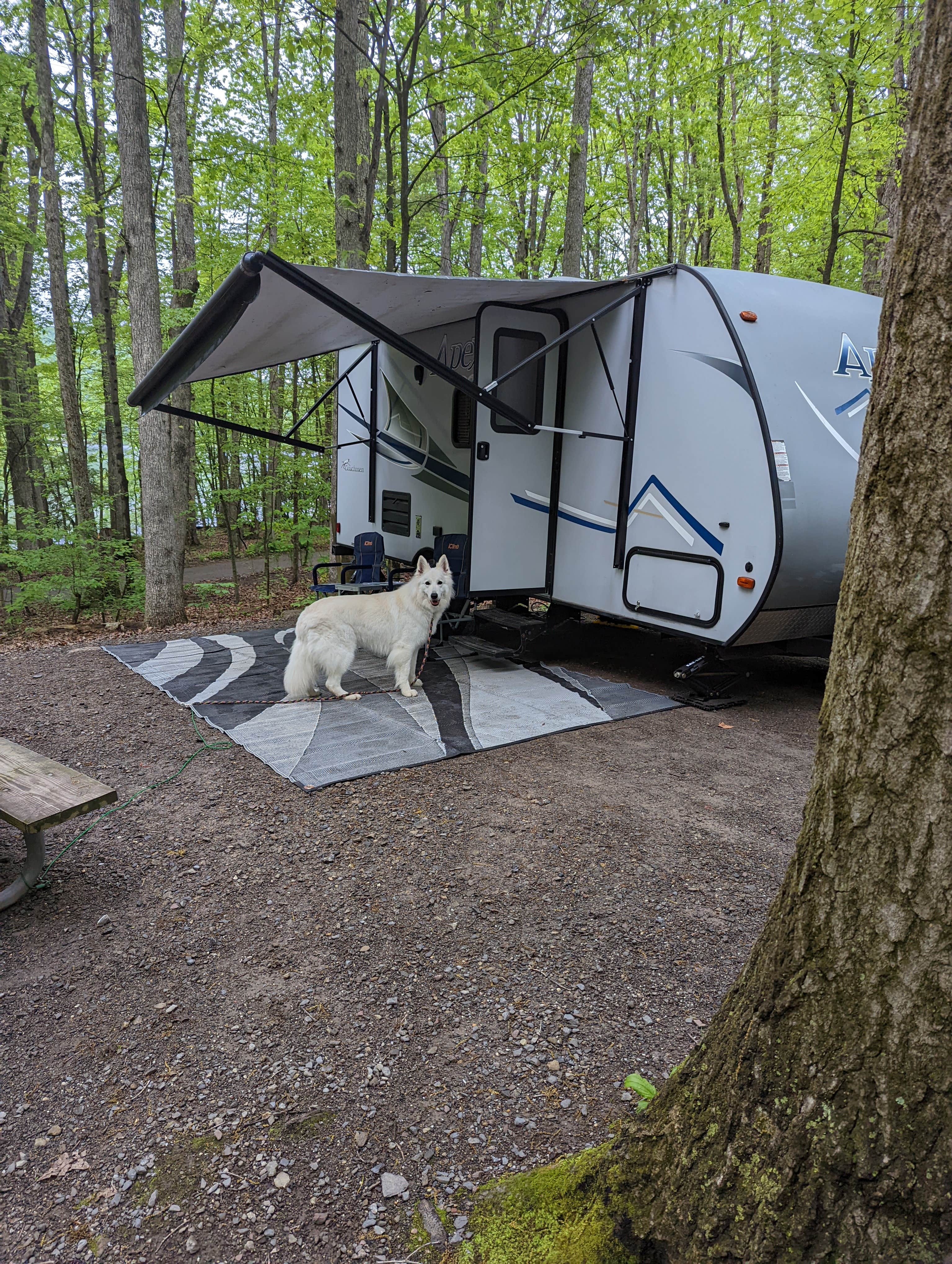 Michael's photo of rv camping at Locust Lake State Park Campground near Jim Thorpe, PA