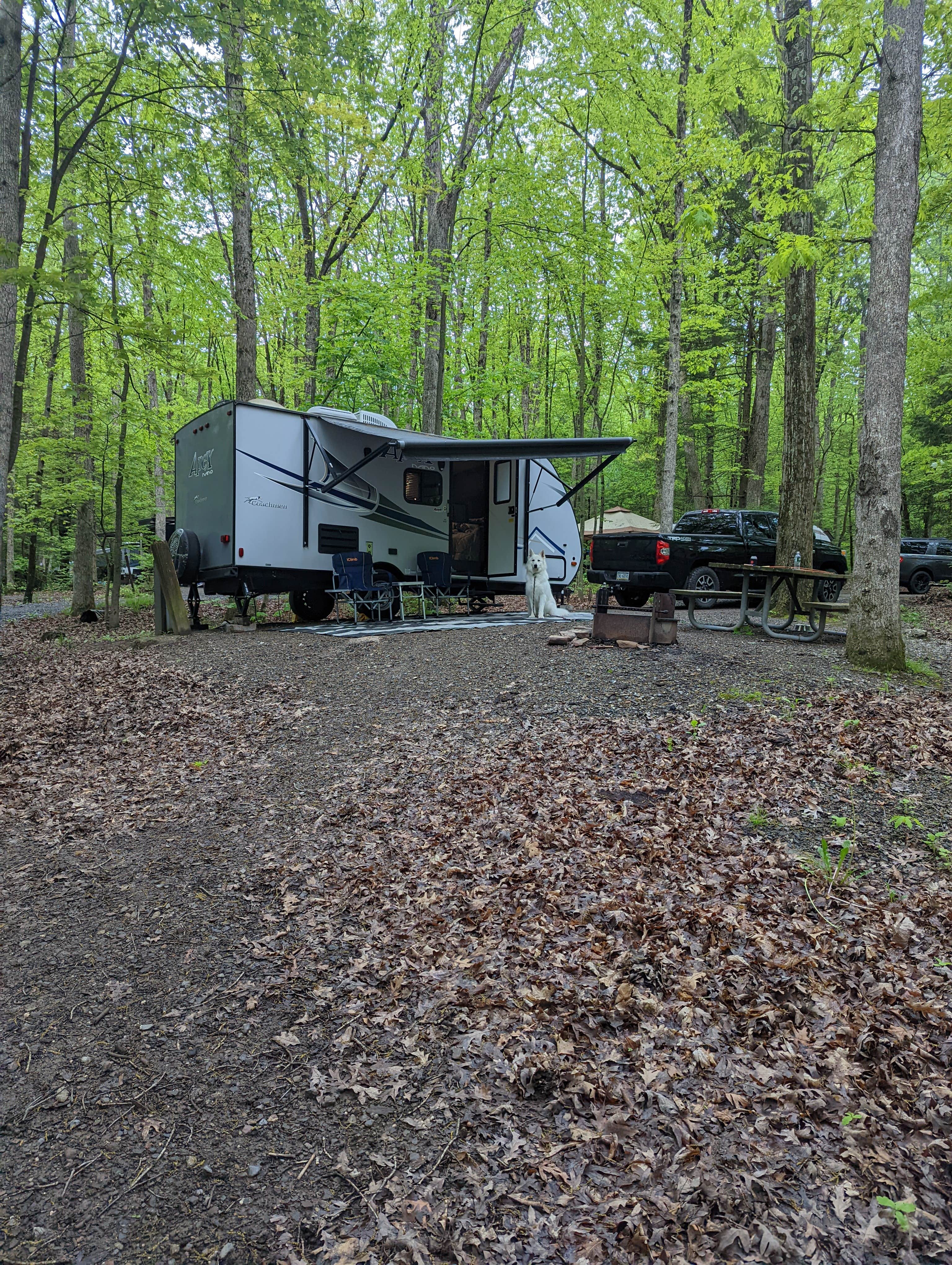 Michael's photo at Locust Lake State Park Campground near Mahanoy City, PA