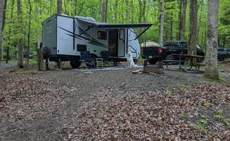 Michael's photo at Locust Lake State Park Campground near Mahanoy City, PA