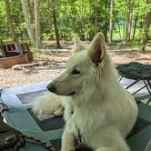 Review photo of Locust Lake State Park Campground by Michael , June 3, 2022