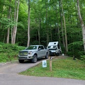 Review photo of Roan Mountain State Park Campground by Brian D., June 3, 2022