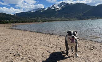 Katelyn C.'s photo of camping with pets at White River National Forest Peak One Campground near Vail, CO