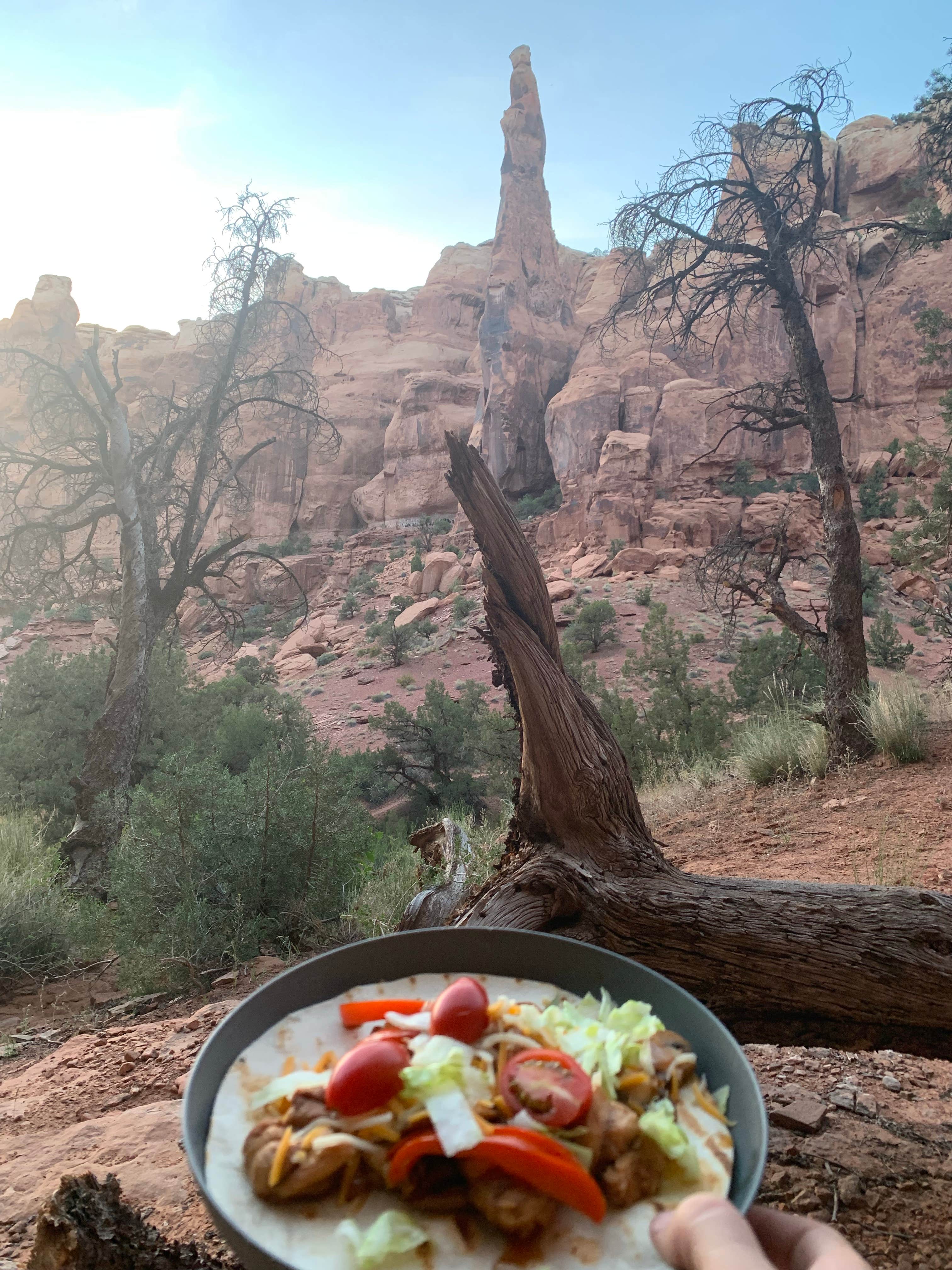 Joshua W.'s photo of camping with pets at Gemini Bridges Campground near Arches National Park