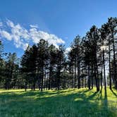 Review photo of Black Hills NF FR307 Dispersed Camping by Mark Z., June 3, 2022