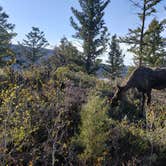 Review photo of Fremont Canyon Campground by Michelle E., June 3, 2022