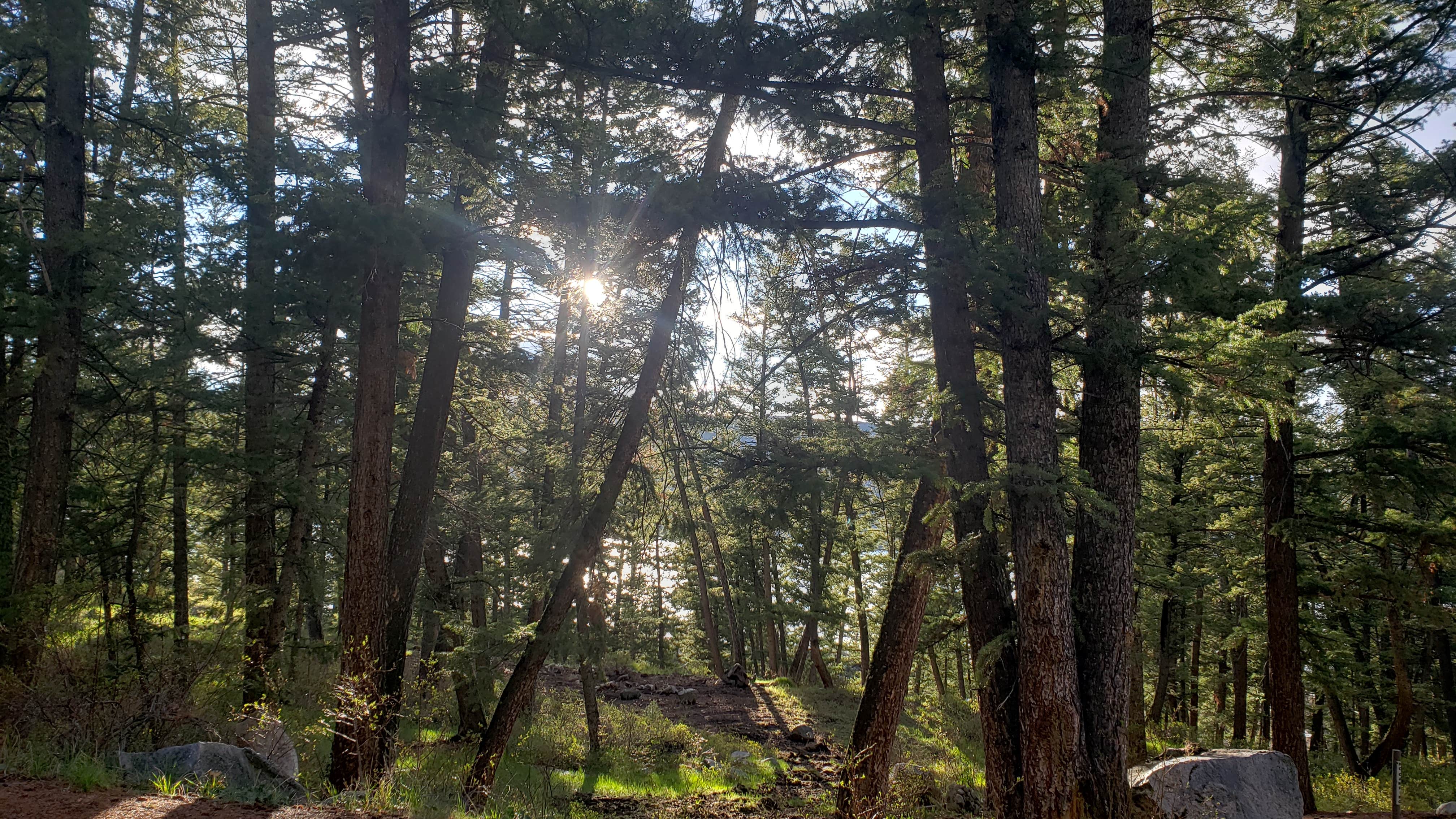 Camper submitted image from Fremont Canyon Campground - 1