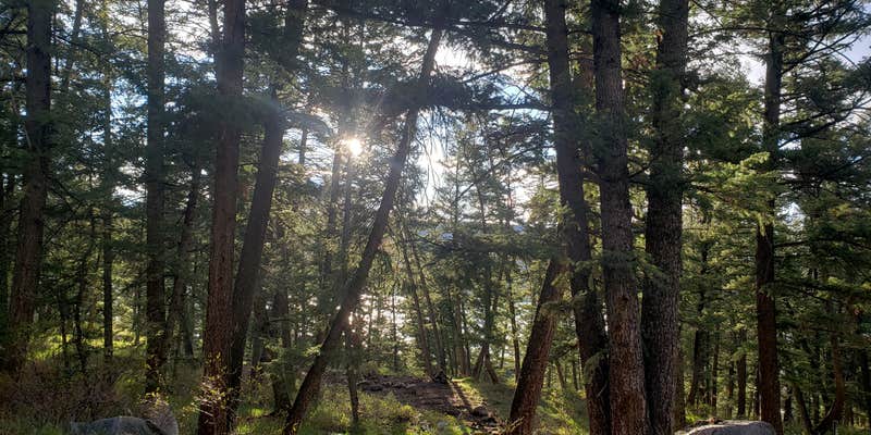 Camper submitted image from Fremont Canyon Campground