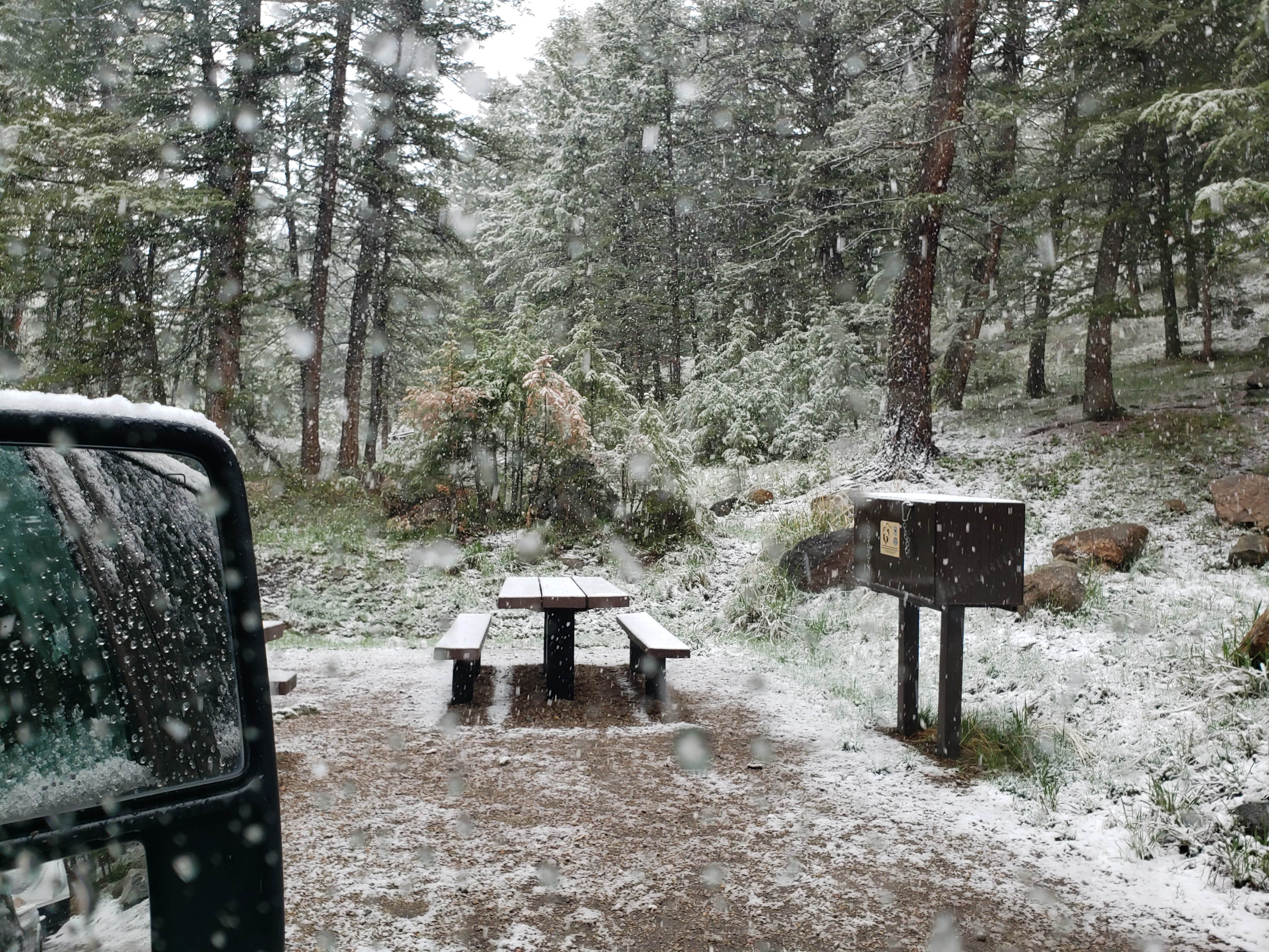 Camper submitted image from Fremont Canyon Campground - 4