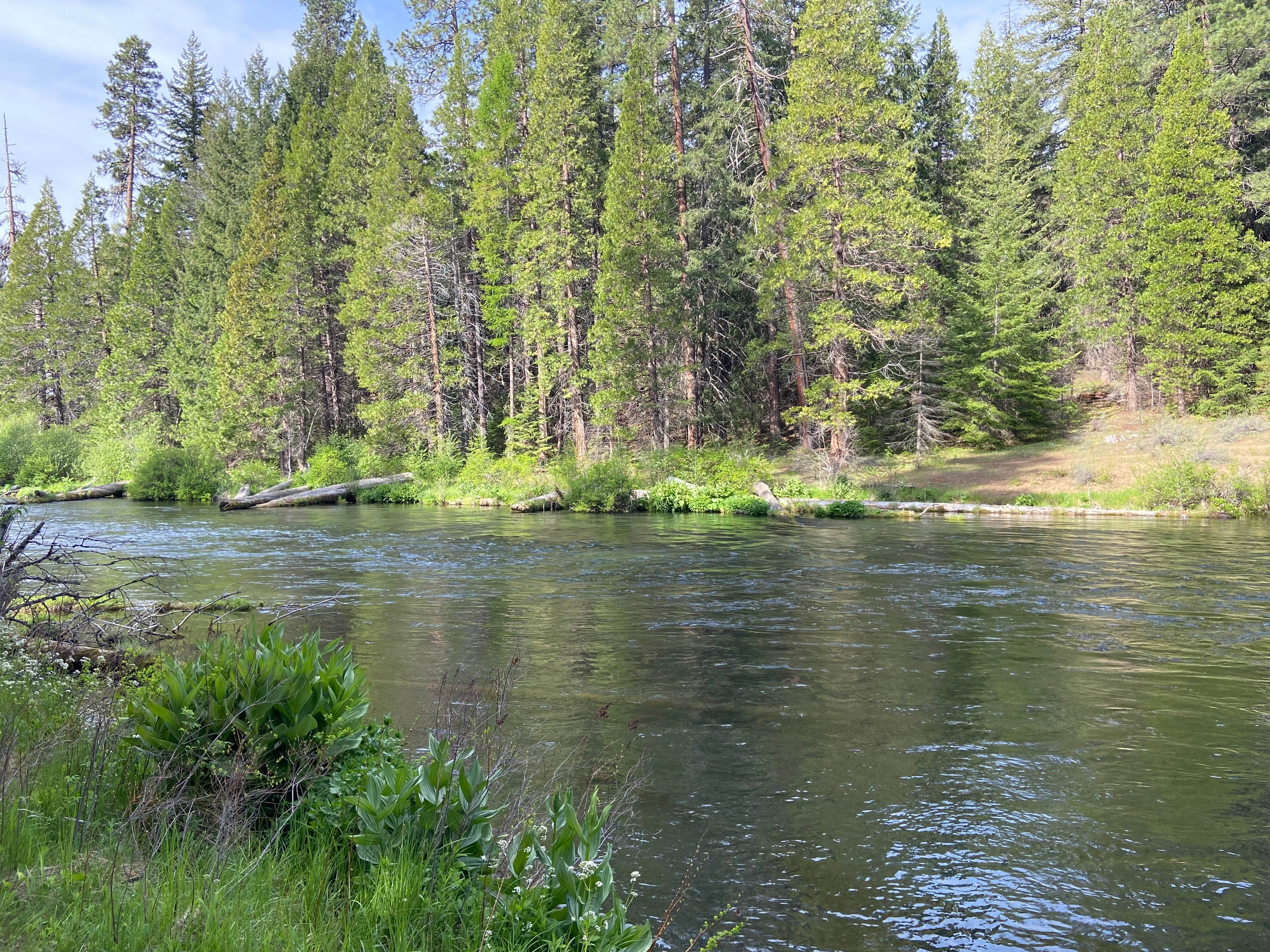 Camper submitted image from Pioneer Ford Campground - 4