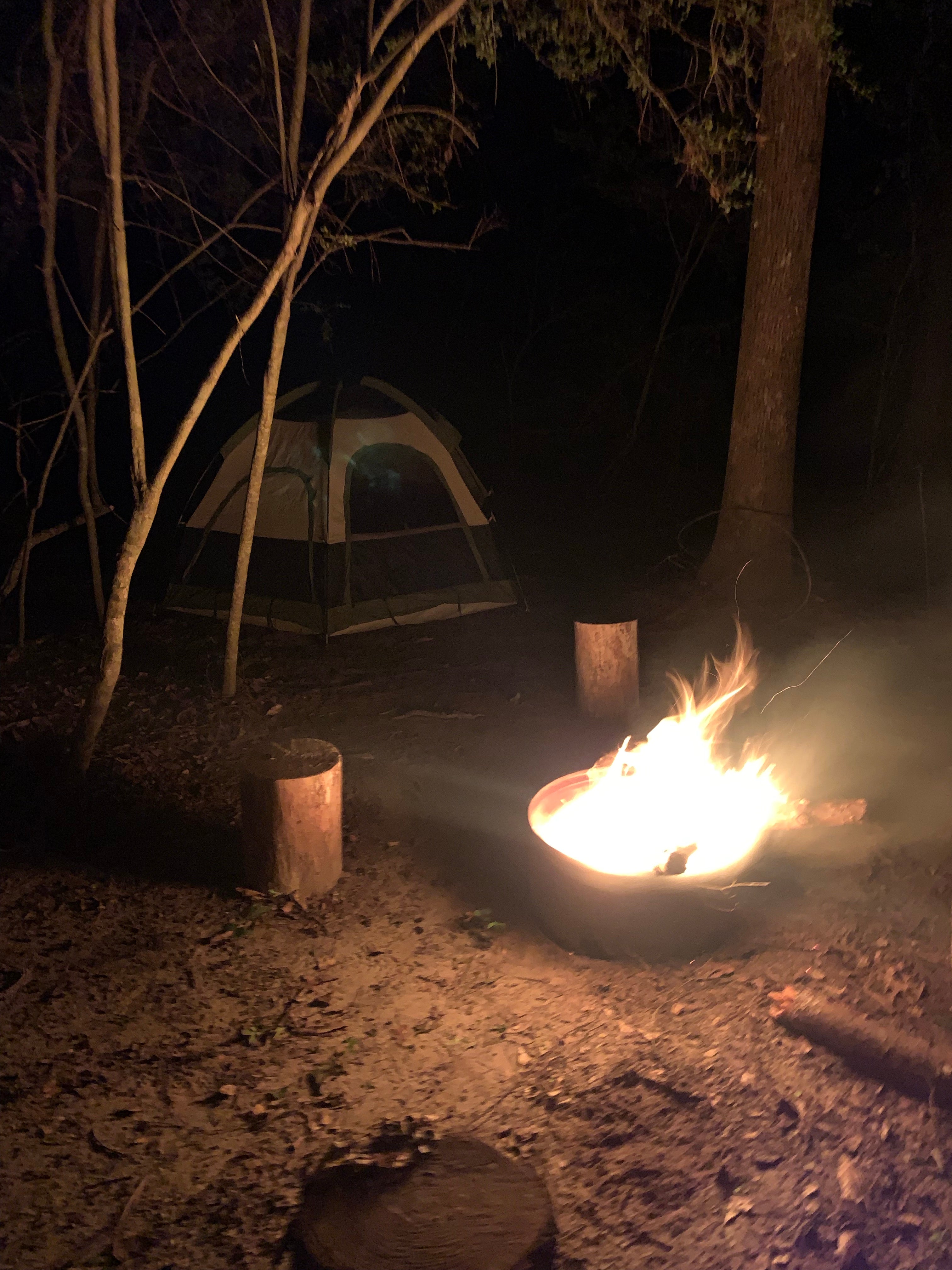Camper submitted image from Hoot Owl Campground - 1