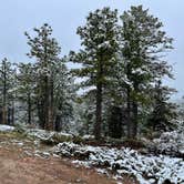 Review photo of Rampart Reservoir Dispersed by Cameron B., June 3, 2022