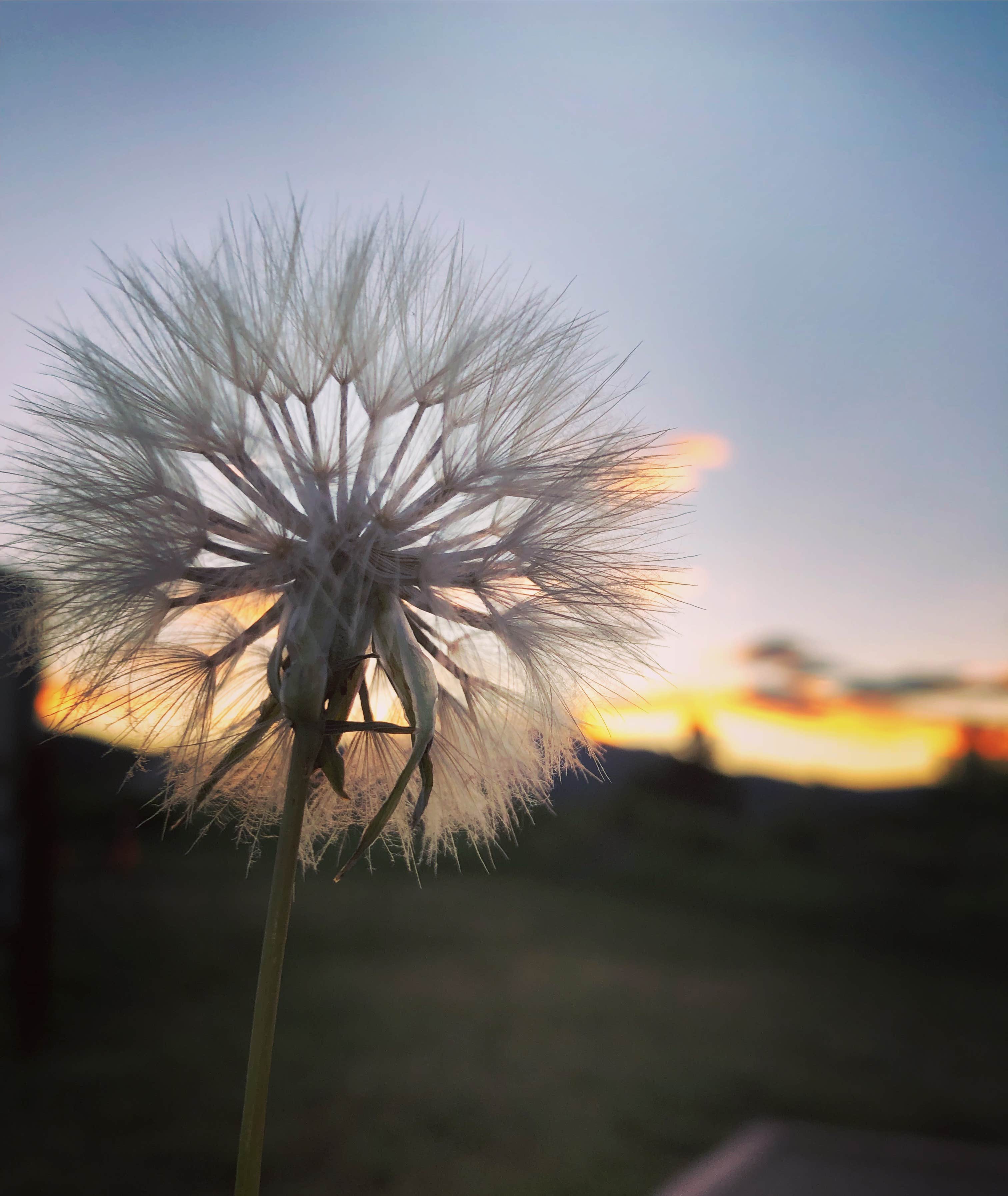 Camper submitted image from Indian Paintbrush Campground—Bear Creek Lake Park - 2