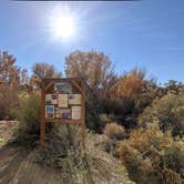 Review photo of Sand Island Recreation Area — Bears Ears National Monument by Laura M., June 3, 2022