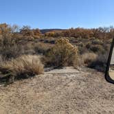 Review photo of Sand Island Recreation Area — Bears Ears National Monument by Laura M., June 3, 2022