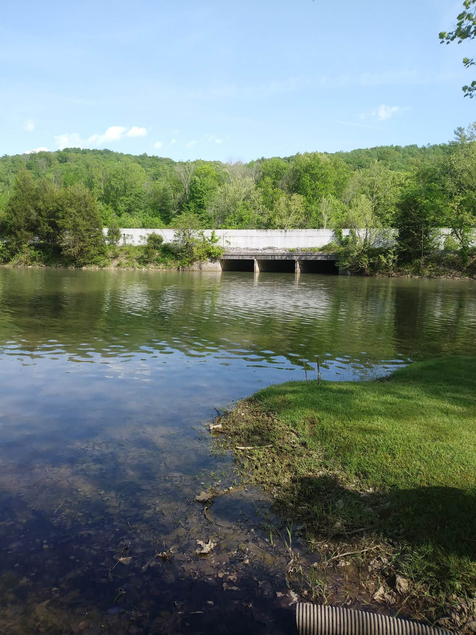 Camper submitted image from Soaring Eagle Campground - 4